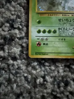 Erika's Venusaur Challenge from the Darkness Holo (Japanese) - Image 4