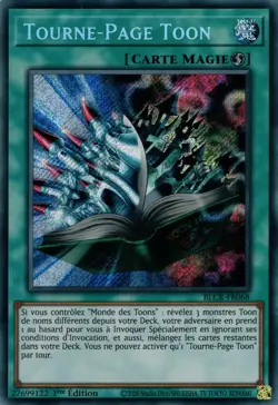 Yu-Gi-Oh! - Tourne-Page Toon - MINT/NMINT - FR - 1st - Image 1