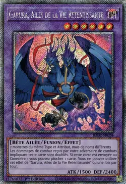 Yu-Gi-Oh! - Garura, Ailes de la Vie Retentissante - MINT/NMINT - FR - 1st - Image 1