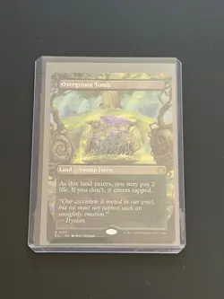 MTG 1x Overgrown Tomb (Borderless) - R from ECL #350 - Non-Foil - Image 1