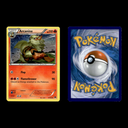 12x Arcanine Lot Growlithe 11 XY BREAKpoint Pokemon Cards Collection Set TCG - Image 3