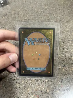 Aangs Shelter #0007 MTG (Teferi's Protection) Borderless - Avatar - Image 2