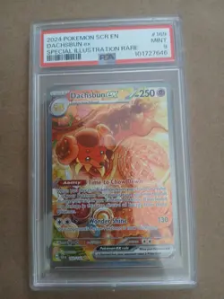 2024 POKEMON SCR EN-STELLAR CROWN SPECIAL ILLUSTRATION RARE DACHSBUN EX PSA 9 - Image 1