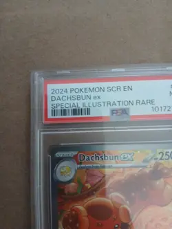 2024 POKEMON SCR EN-STELLAR CROWN SPECIAL ILLUSTRATION RARE DACHSBUN EX PSA 9 - Image 2