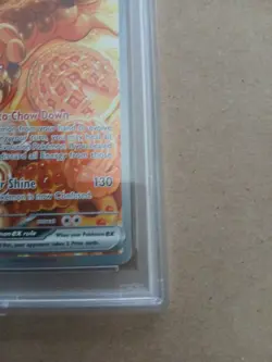 2024 POKEMON SCR EN-STELLAR CROWN SPECIAL ILLUSTRATION RARE DACHSBUN EX PSA 9 - Image 4