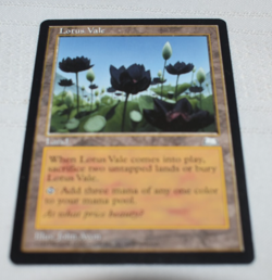 Magic card: Lotus Vale Land Weatherlight John Avon - Image 2
