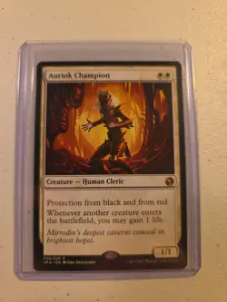 Auriok Champion Mtg - Image 1