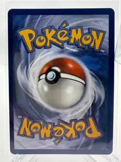Pokemon First Partner Illustration Series 1 Alolan Alola Starters Promo Set NM - Image 3