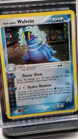 Walrein - Pokemon EX Team Magma Vs Aqua Holo 6/95, NM/Mint (CGC 8) - Image 2