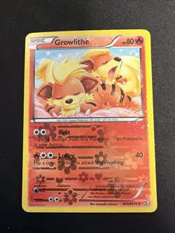 Pokemon TCG Growlithe RC4/RC25 Radiant Collection Reverse Holo 80 HP English - Image 1