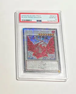 PSA 10 Gem Mint 2024 Yu-Gi-Oh! Black Rose Dragon #TN23-EN014 Limited Ed QCSR - Image 1