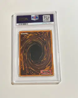 PSA 10 Gem Mint 2024 Yu-Gi-Oh! Black Rose Dragon #TN23-EN014 Limited Ed QCSR - Image 2