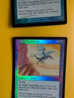 Drake Hatchling x2 Drake Mercadian Masques. FOIL. Magic the Gathering Card. - Image 4