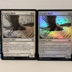 2x Tempest Hawk (1 Foil, 1 Non)- Tarkir: Dragonstorm (TDM) NM Common 31 MTG Set - Image 1