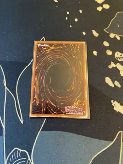 Seiyaryu (Dark Duel Stories) DDS-004 Yu-Gi-Oh! Card - Image 3