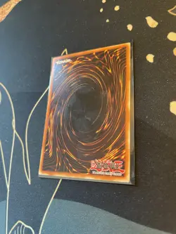 Seiyaryu (Dark Duel Stories) DDS-004 Yu-Gi-Oh! Card - Image 4