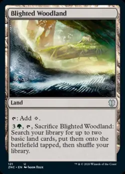 Blighted Woodland - Light Play MTG Commander 2020 Zendikar Rising - Image 1