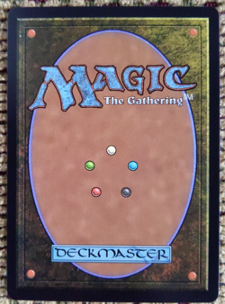 MTG Thousand-Year Elixir Borderless – NM Lorwyn Eclipsed Special Guest SPG #0148 - Image 4