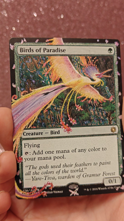 Bird Of Paradise MTG Altered Art Hand Painted Shimmer MTG By S&S x GC - Image 2