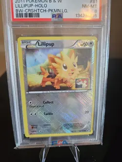 🔥 Pokemon League Black & White Holo Lillipup #81/114 (Stamped) PSA Triple Error - Image 2