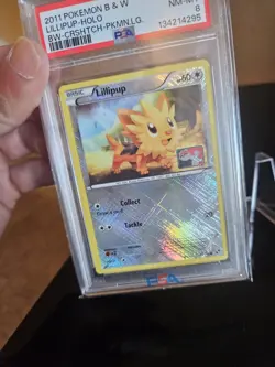 🔥 Pokemon League Black & White Holo Lillipup #81/114 (Stamped) PSA Triple Error - Image 3