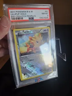 🔥 Pokemon League Black & White Holo Lillipup #81/114 (Stamped) PSA Triple Error - Image 4