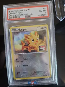 🔥 Pokemon League Black & White Holo Lillipup #81/114 (Stamped) PSA Triple Error - Image 5
