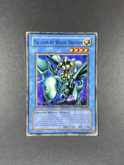YuGiOh! Paladin of White Dragon - SKE-024 - Common - Unlimited - Image 1