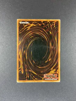 YuGiOh! Paladin of White Dragon - SKE-024 - Common - Unlimited - Image 2