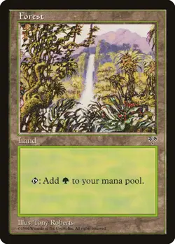 MTG Forest (348) ** Mirage ** English (NM) - Image 1