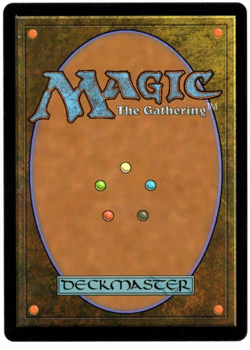 Forest 0276 Foil Full Art Land Murders at Karlov Manor MTG Near Mint - Image 2