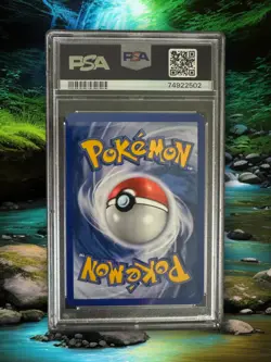 2005 Pokemon Wizards World Philadelphia Mudkip #56 PSA 8 NM-MT - Image 2