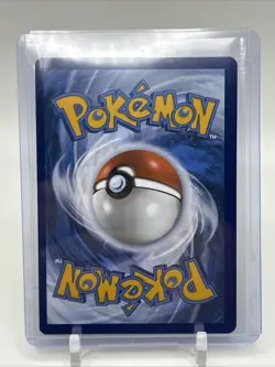 Pokemon: 1x Dachsbun ex - 169/142 - Special Illustration Rare - NM Stellar Crown - Image 2