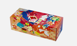Pokemon Card Hiroshima Center Special Box No shrink Hiroshima Limited PSL JP - Image 2