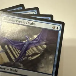SHIMMERSCALE DRAKE x4 | MTG Amonkhet 4 Common Playset VLP - Image 3
