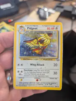 Pokemon Pidgeot WOTC Card Jungle Set Holo Rare 8/64 - Image 1