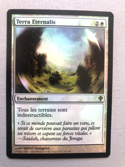 Mtg Carte Magic Worldwake Terra Eternal French FOIL NM/LP - Image 1