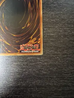Yu-Gi-Oh! Red-Eyes Black Dragon Limited Edition Secret Rare Card BPT-005 - Image 5