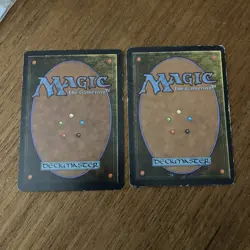 1994 2x °Crumble° Antiquities: Magic the Gathering - Mtg - Image 2