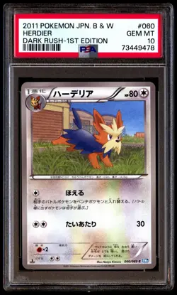 PSA 10 Gem Mint Herdier 060/069 Dark Rush 1st ED 2011 Japanese Card Graded - Image 1