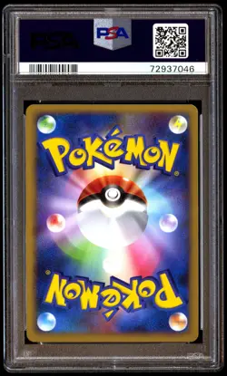 PSA 10 Gem Mint Buizel 005/014 Turtwig Half Deck 2008 Japanese Card Graded - Image 2