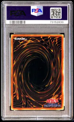 PSA 8 NM Mint Dark Magician 20th Anniversary Duelist Box 2018 Japanese Stainless - Image 2