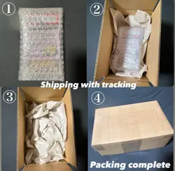 ARS 10+ Plus Japanese Card Dragon Pokemon V Get Campaign 210/S-P Rayquaza V - Image 5