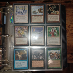 MTG Magic the Gathering COMPLETE SET ICE AGE 383 cards. 100% Mint. Never Played. - Image 3