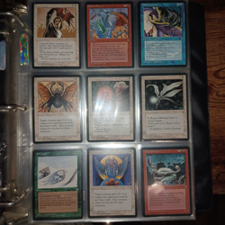MTG Magic the Gathering COMPLETE SET ICE AGE 383 cards. 100% Mint. Never Played. - Image 5