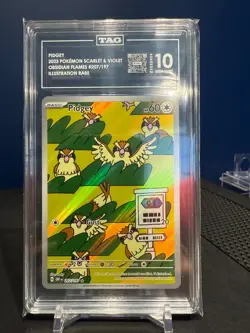 Pokemon 2023 Pidgey 207/197 Illustration Rare Obsidian Flames GEM MINT TAG 10 - Image 2