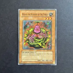 NM Wodan the Resident of the Forest TP1-027 (Yu-Gi-Oh TCG / Tournament Pack 1) - Image 1
