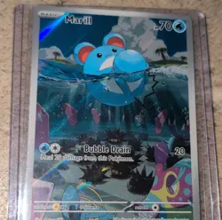 Pokemon Marill Illustration Rare Holo Sv02 Paldea Evolved 204/193 NM - Image 4