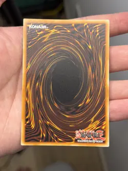 Yugioh! Paladins of Bonds and Unity SUDA-EN000 Quarter Century Secret Rare NM - Image 4