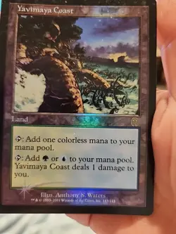 MTG Yavimaya Coast Apocalypse 143/143 Regular Rare - Image 1